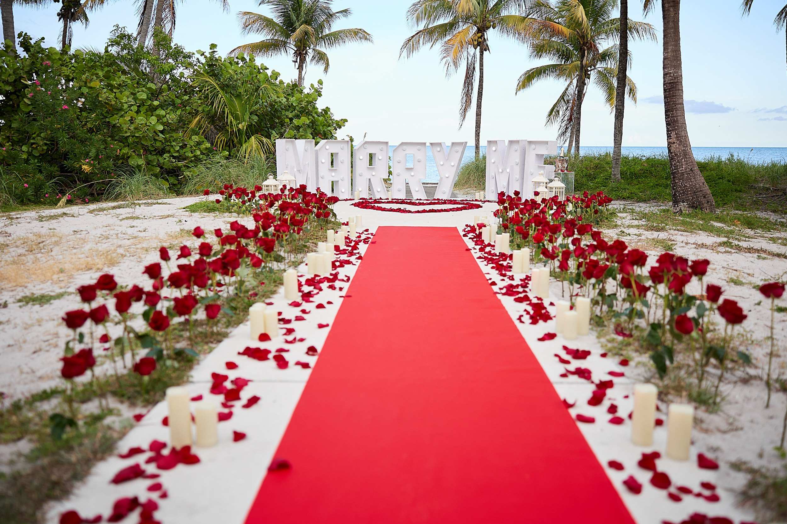 Rose lined walkway between palm trees