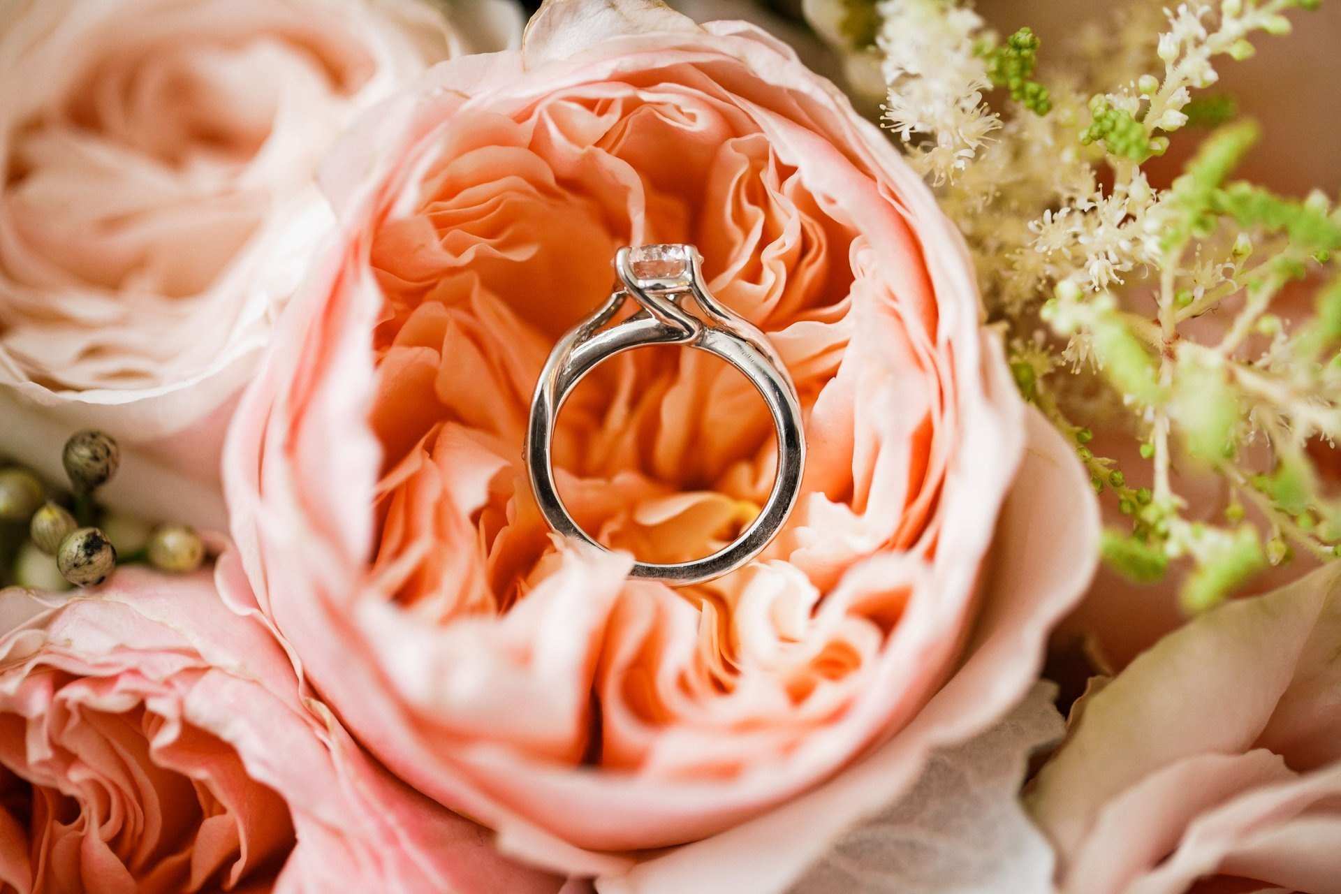Engagement ring resting in a peach rose